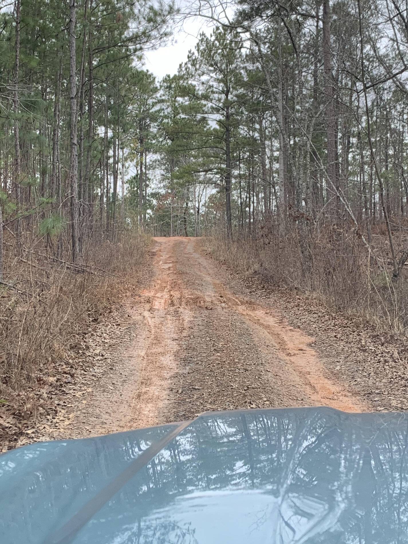 Ford Bronco Sport Bronco Sport Off-Road Driving Impressions 20210125_170317501_iOS