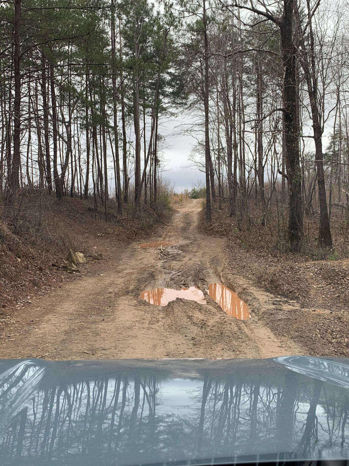 Ford Bronco Sport Bronco Sport Off-Road Driving Impressions 20210125_165400769_iOS