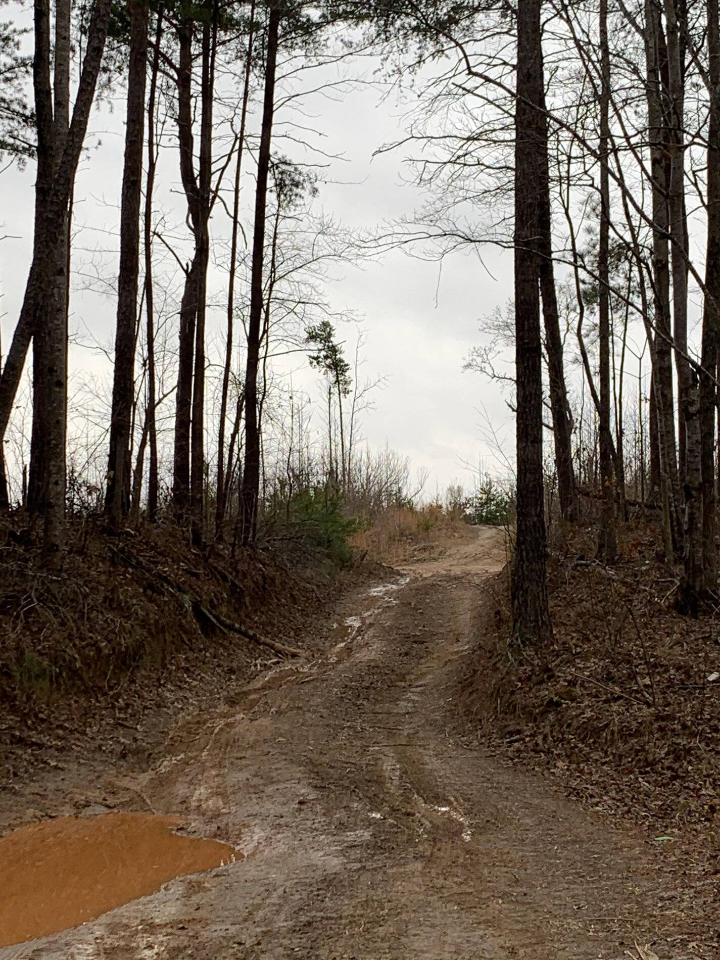 Ford Bronco Sport Bronco Sport Off-Road Driving Impressions 20210125_170009983_iOS