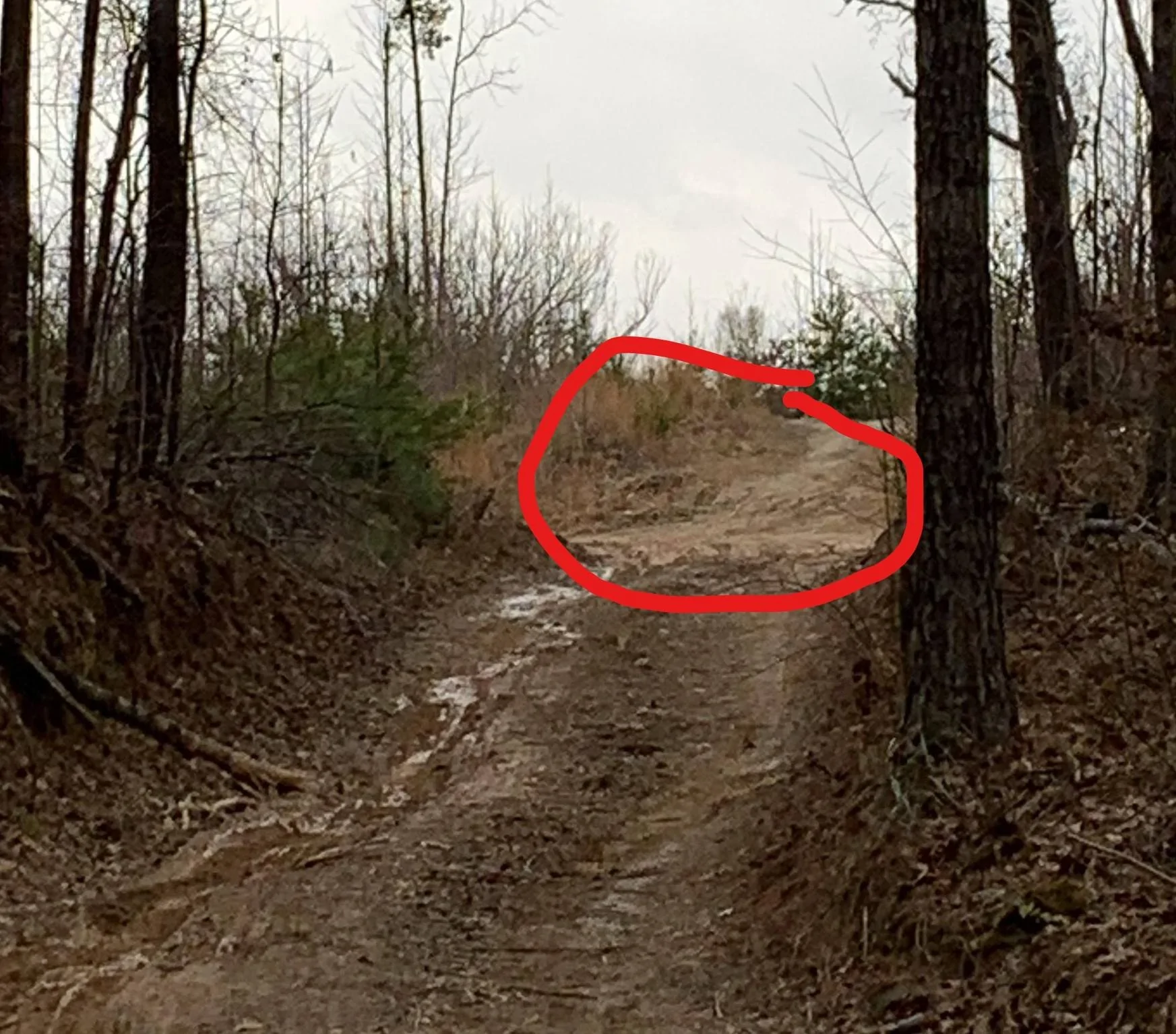 Ford Bronco Sport Bronco Sport Off-Road Driving Impressions 20210125_170009983_iOS (2)_LI