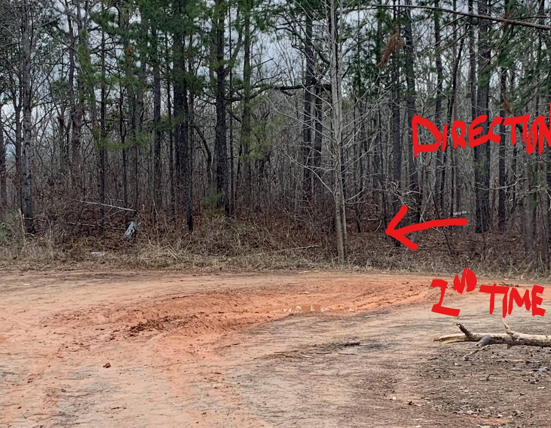 Ford Bronco Sport Bronco Sport Off-Road Driving Impressions 20210125_165200048_iOS (2)_LI