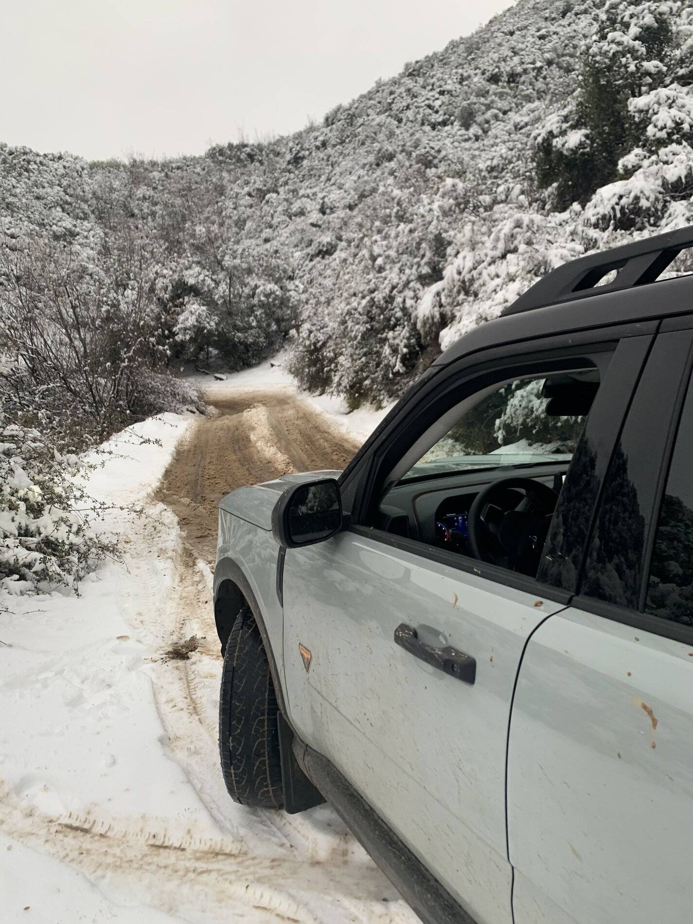Ford Bronco Sport WHERE did you go with your Bronco Sport today? 1F7E8BFE-2927-44AE-A91E-6370500F91BD