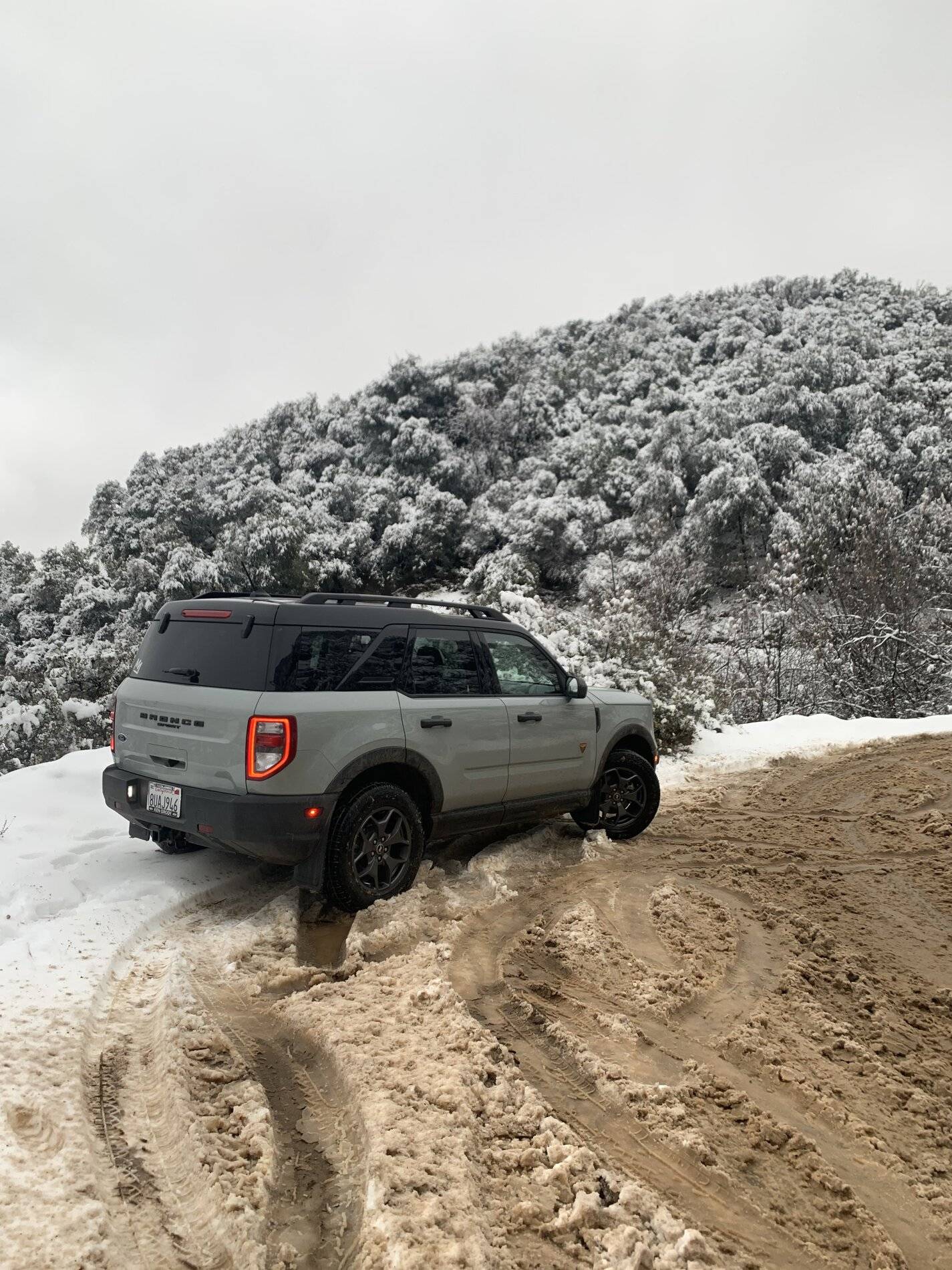 Ford Bronco Sport WHERE did you go with your Bronco Sport today? 902587C4-6A8B-4192-ABB5-0010EB593838