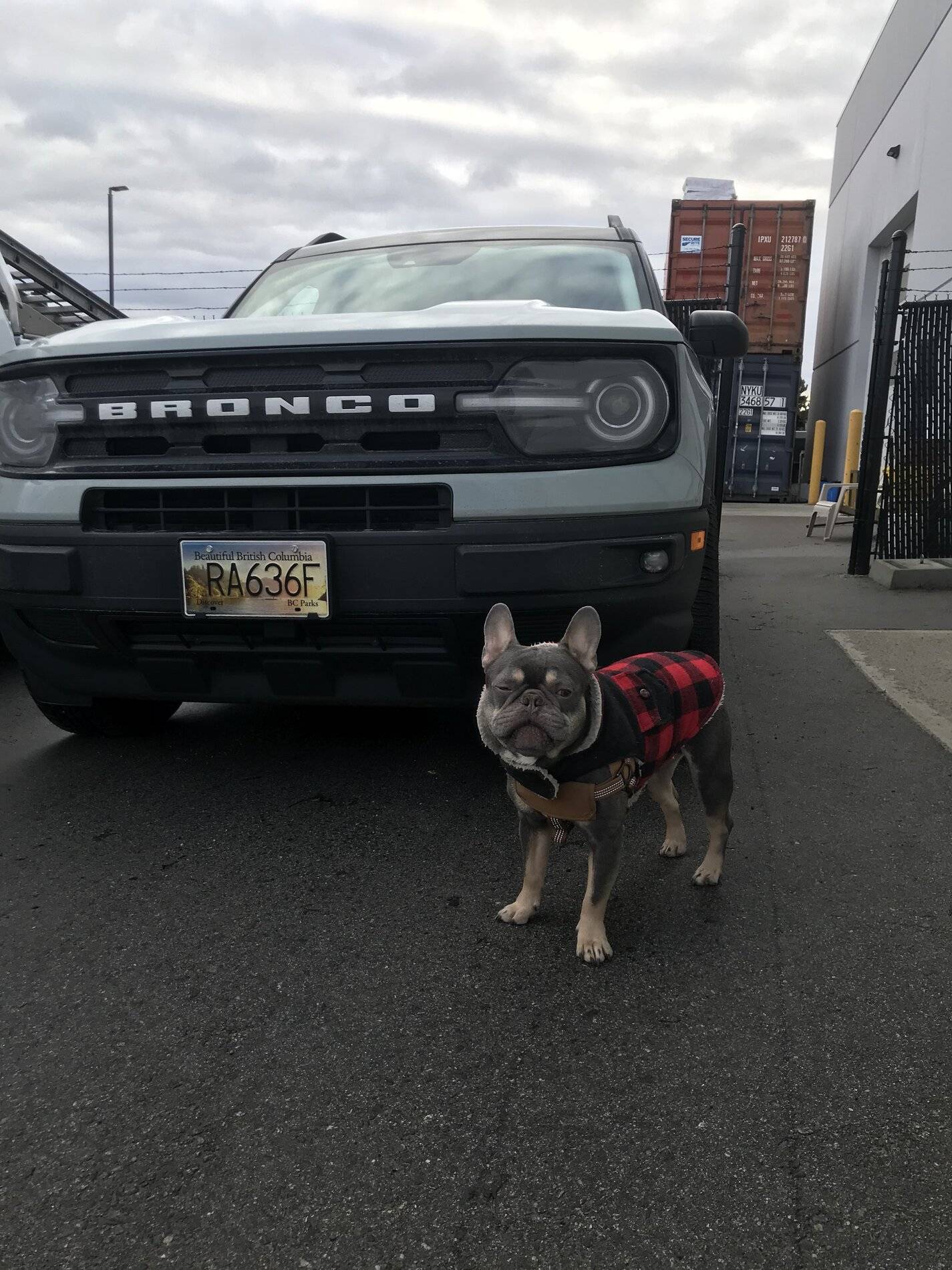 Ford Bronco Sport First two weeks report: Yokohama Geolander tires, Yakima roof rails, all weather floor mats, spare tire removed B1CA3F31-0245-48F7-9154-0564B2C2E751