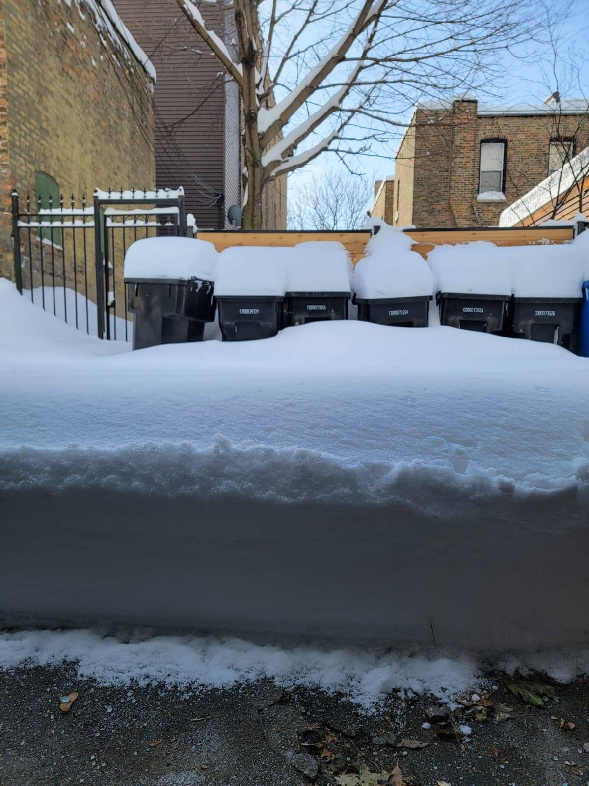 Ford Bronco Sport Did some off-roading today. High centered, and driving through deep crusty snow IMG-20210216-WA0003