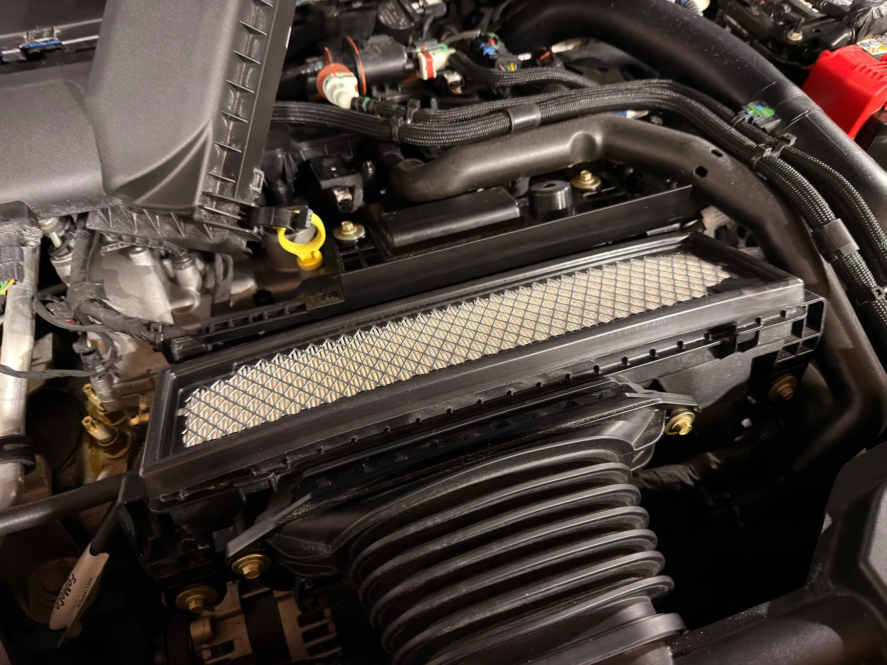 Ford Bronco Sport What did you do TO your Bronco Sport today? IMG_3672