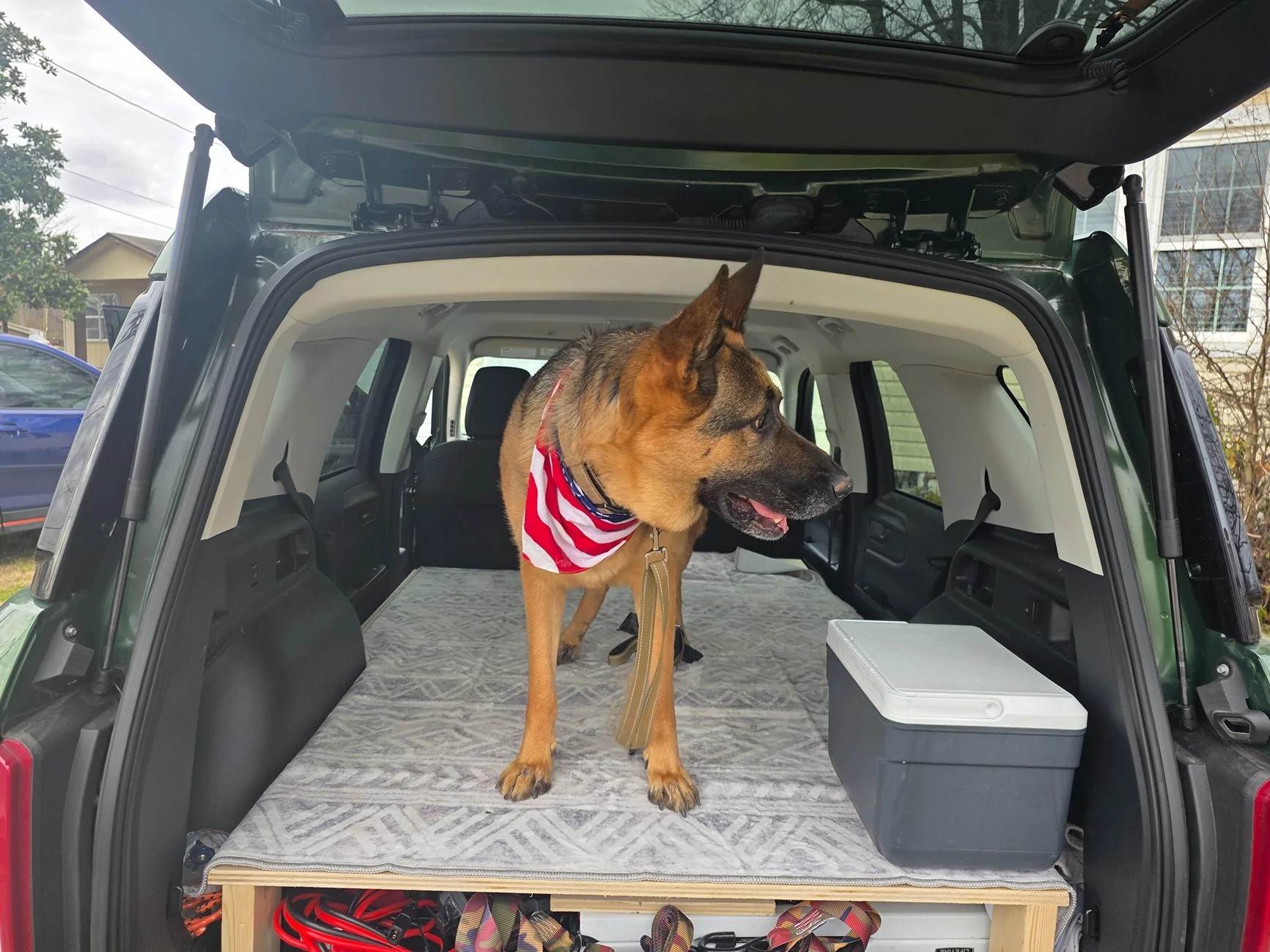 Ford Bronco Sport My 2021 Bronco Sport Build 20260210_114529