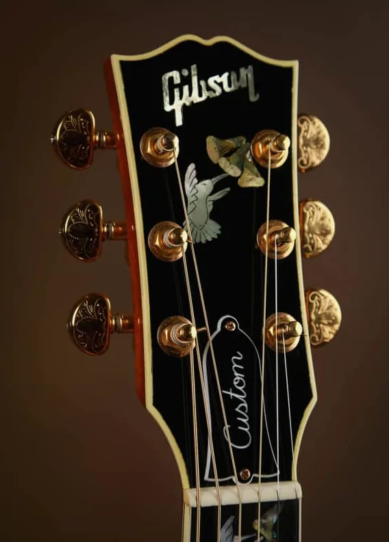 Ford Bronco Sport Guitar shopping 1771470003184-fr