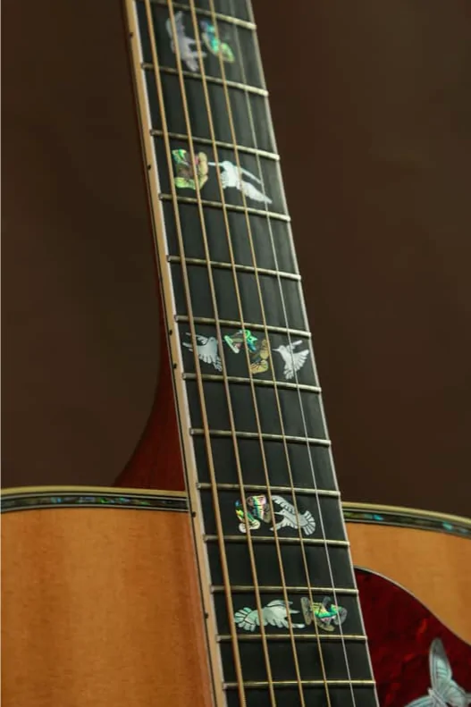 Ford Bronco Sport Guitar shopping 1771470017560-tr