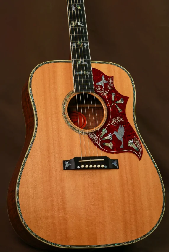 Ford Bronco Sport Guitar shopping 1771470056285-kg