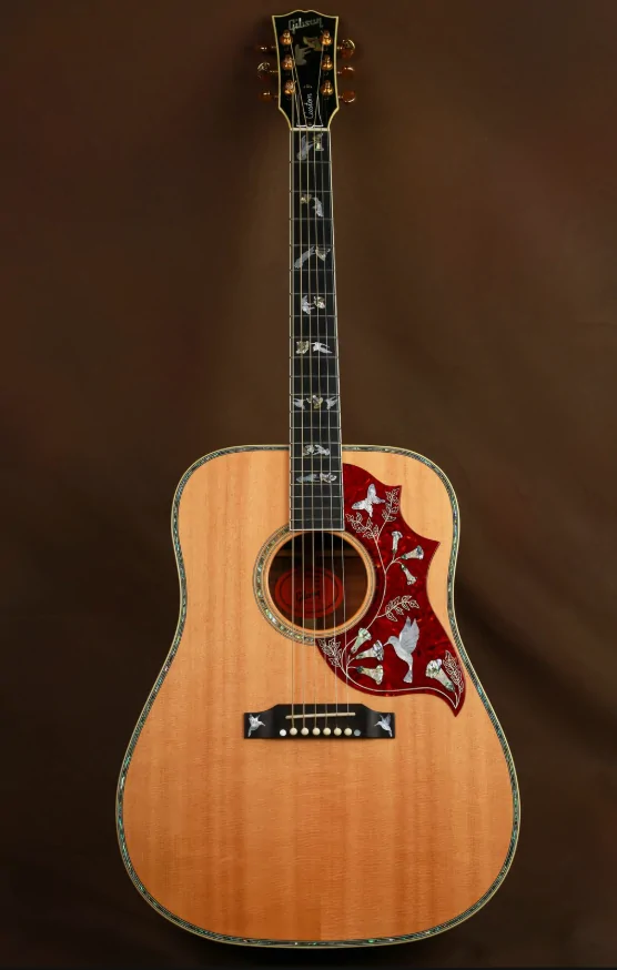 Ford Bronco Sport Guitar shopping 1771473361466-tx