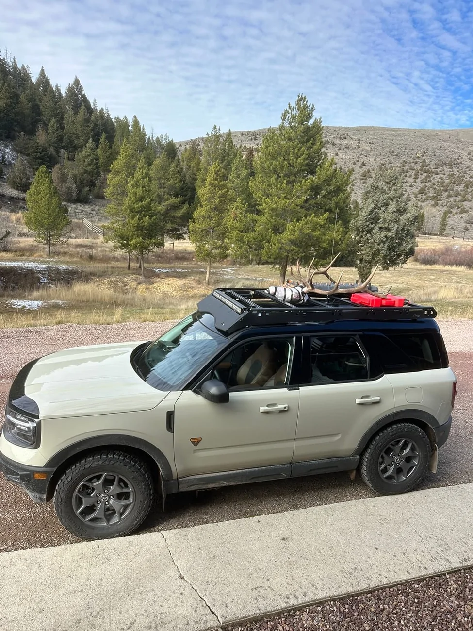 sport with deer head.webp