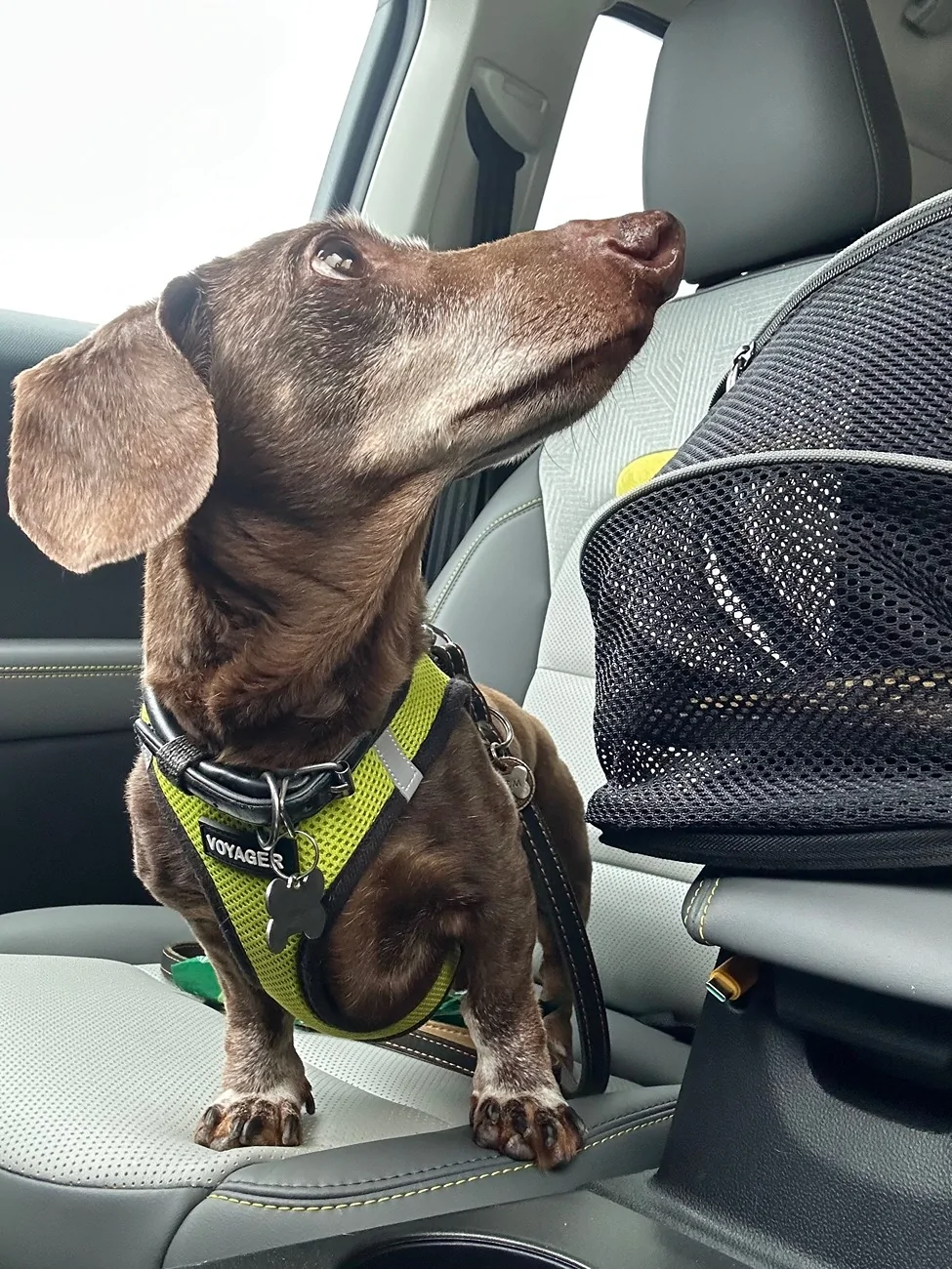 Ford Bronco Sport SoCal or bust! Squatchy’s first road trip IMG_2324