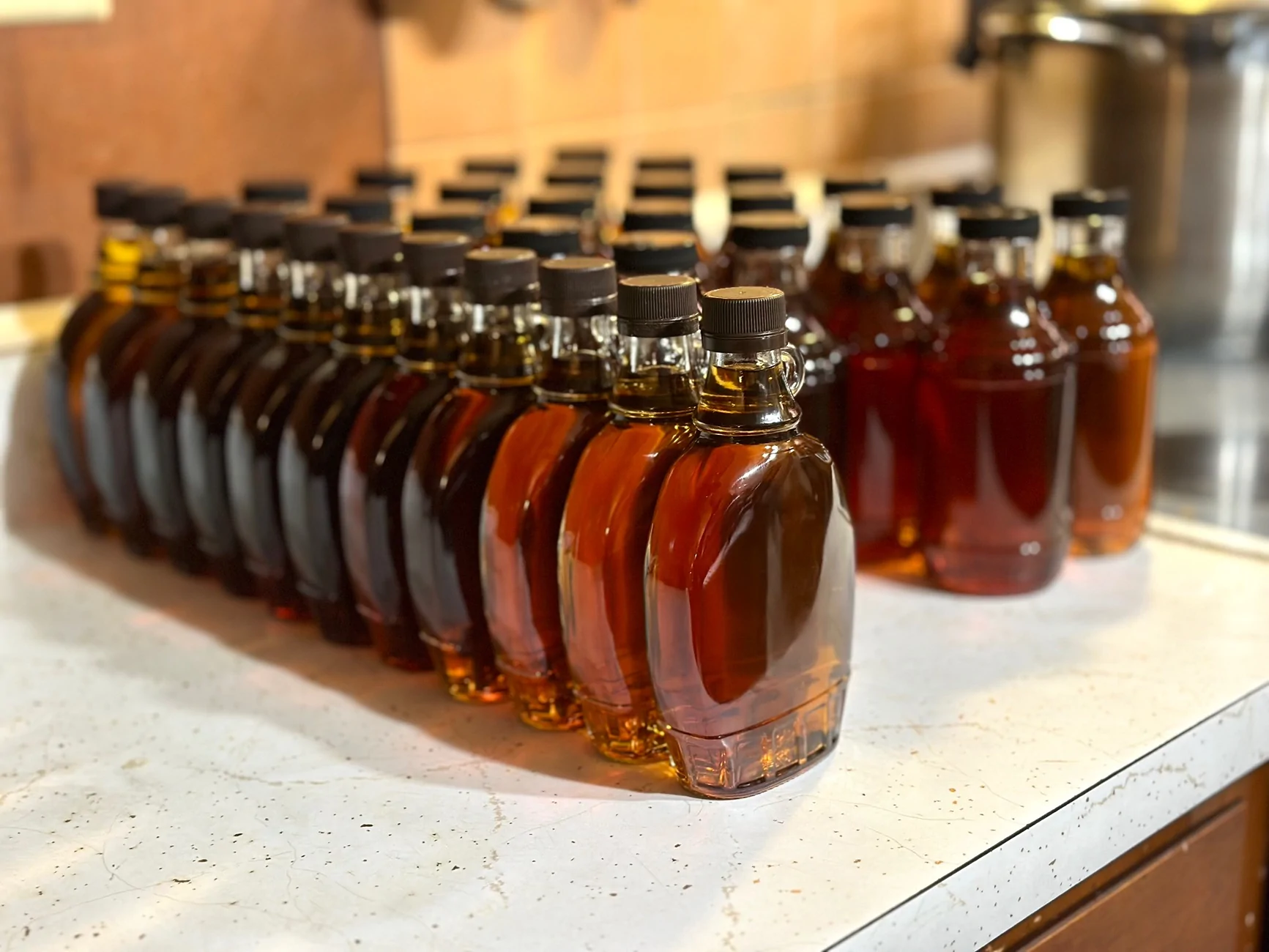 Ford Bronco Sport Getting ready for March... Carrying 400 lbs of maple sap IMG_4700