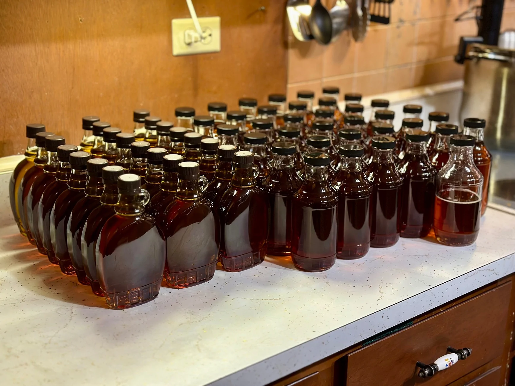 Ford Bronco Sport Getting ready for March... Carrying 400 lbs of maple sap IMG_4722