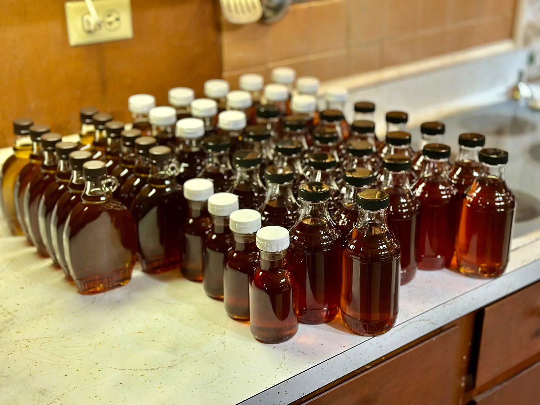 Ford Bronco Sport Getting ready for March... Carrying 400 lbs of maple sap IMG_4822