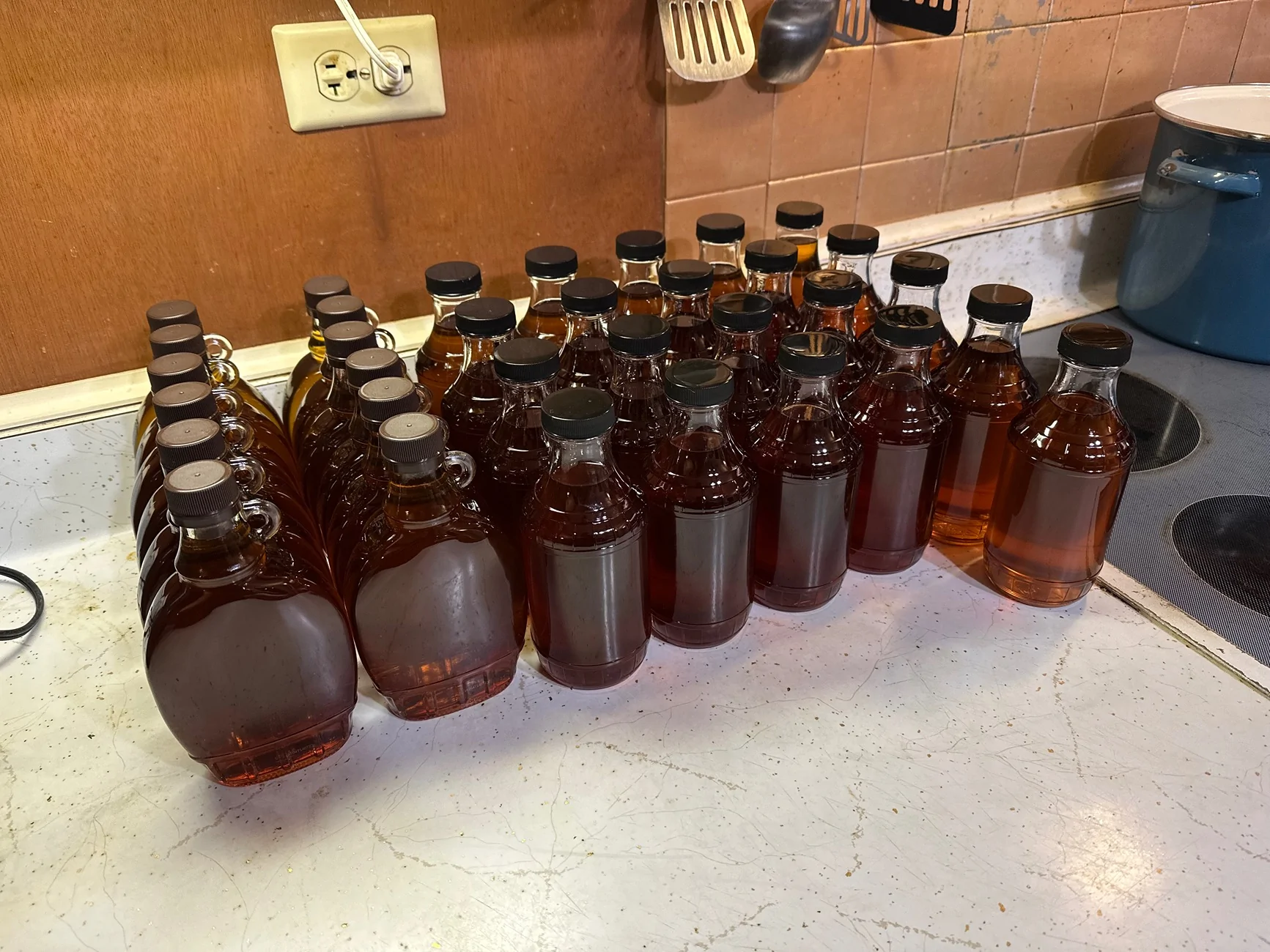 Ford Bronco Sport Getting ready for March... Carrying 400 lbs of maple sap IMG_4815