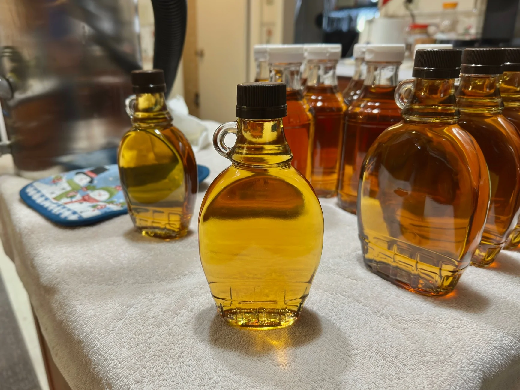 Ford Bronco Sport Getting ready for March... Carrying 400 lbs of maple sap IMG_4984