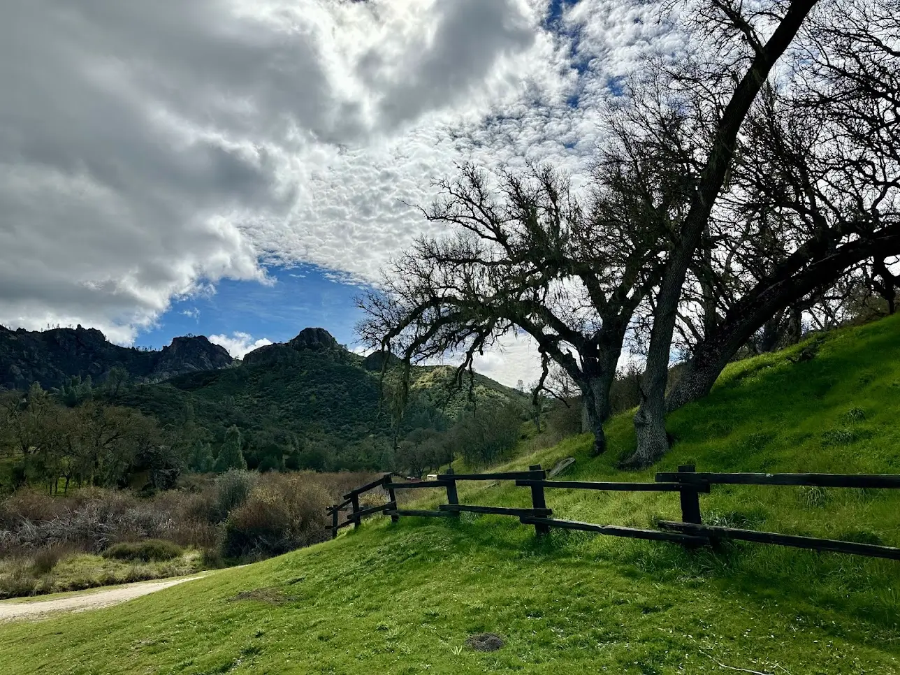 Ford Bronco Sport SoCal or bust! Squatchy’s first road trip 1773248328404-oy