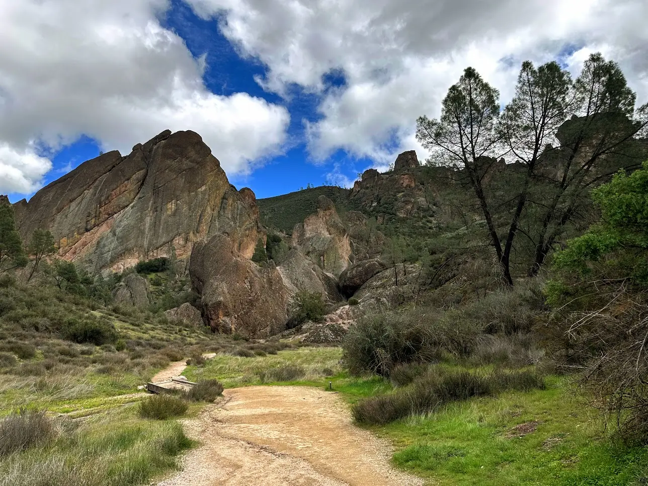 Ford Bronco Sport SoCal or bust! Squatchy’s first road trip 1773248420126-4f