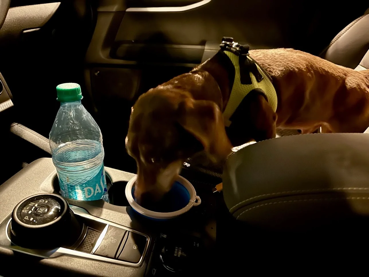 Ford Bronco Sport SoCal or bust! Squatchy’s first road trip 1773248763711-jr