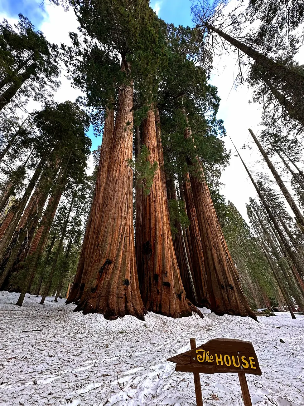 Ford Bronco Sport SoCal or bust! Squatchy’s first road trip 1773249212284-78
