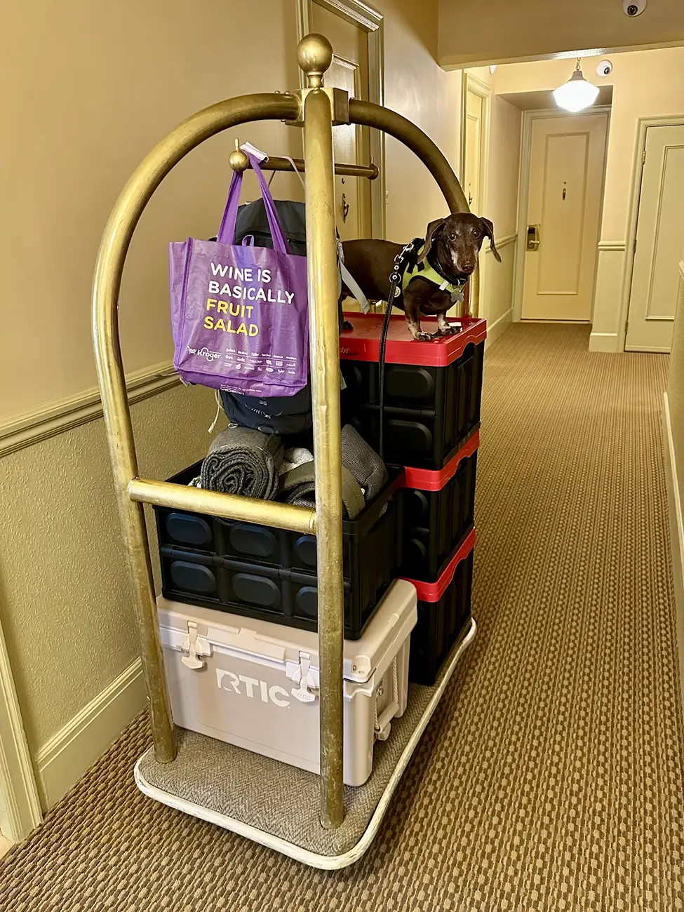 Ford Bronco Sport SoCal or bust! Squatchy’s first road trip 1773249853879-h