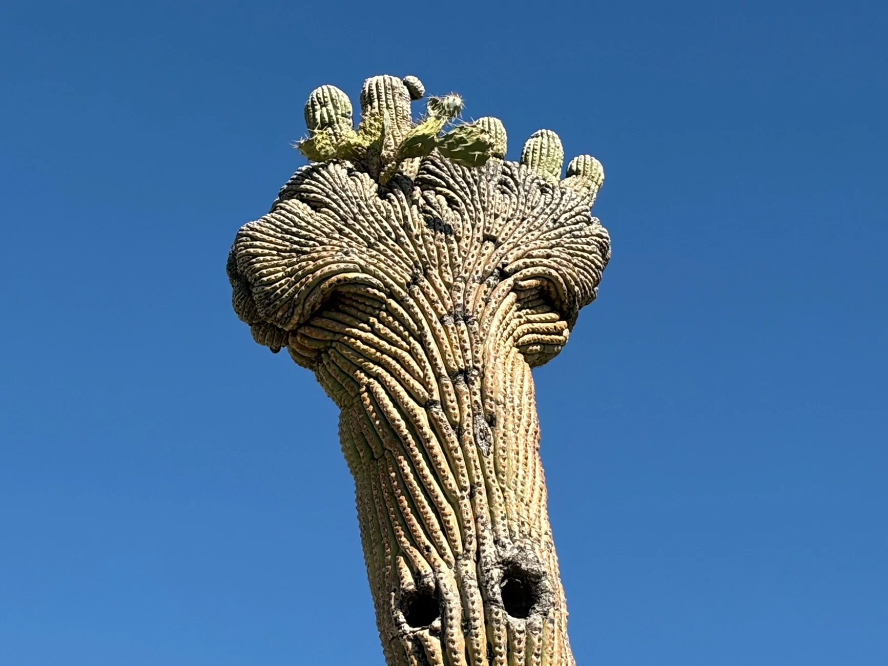 Ford Bronco Sport Mini Road Trip (Tucson) IMG_0140