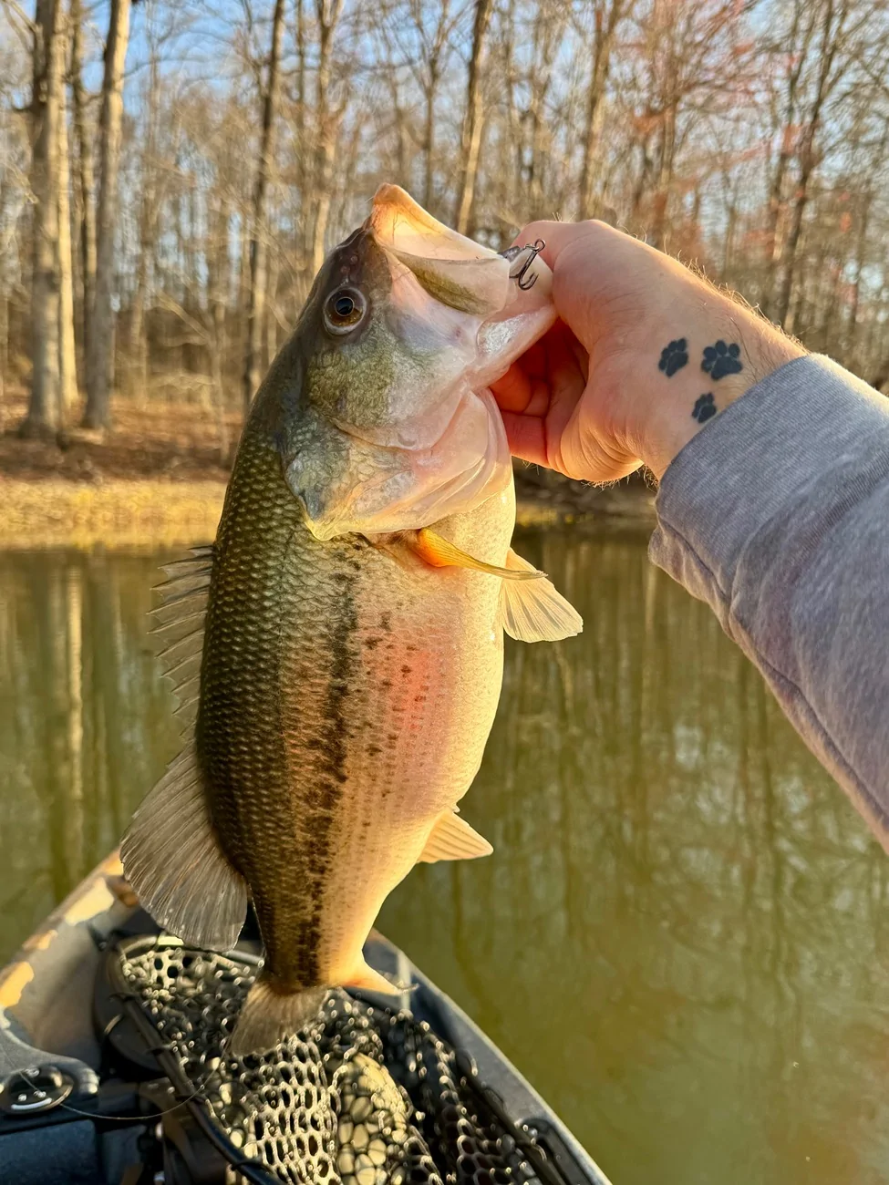 Ford Bronco Sport Morning chill… IMG_0024