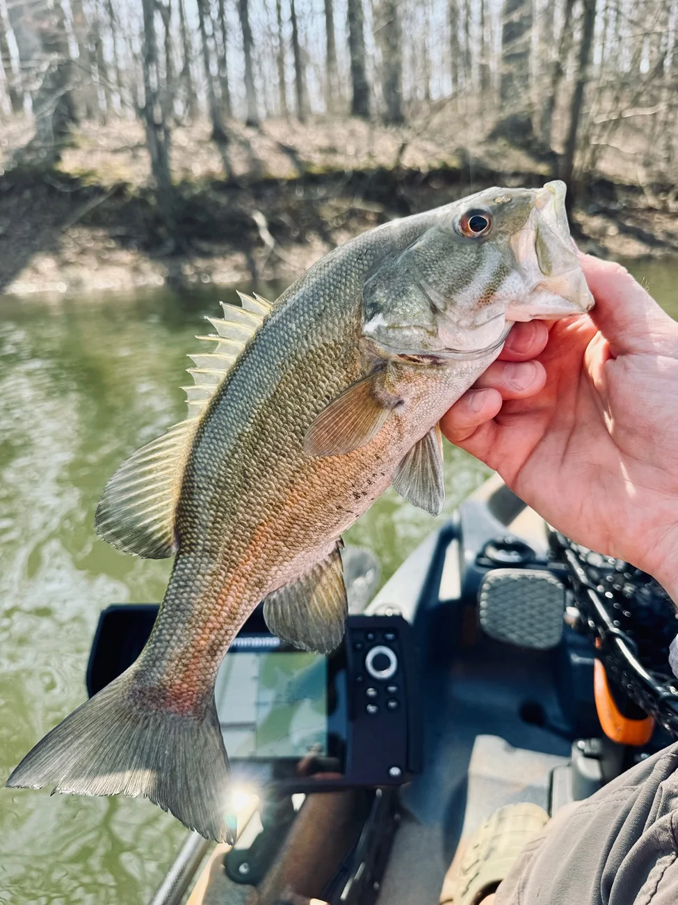 Ford Bronco Sport Morning chill… IMG_0028