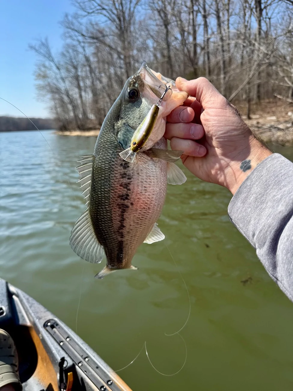 Ford Bronco Sport Morning chill… IMG_0029
