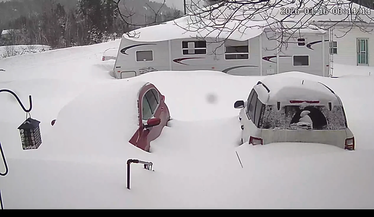 Ford Bronco Sport 2025 BS felt liners in front wheel wells 1000003378