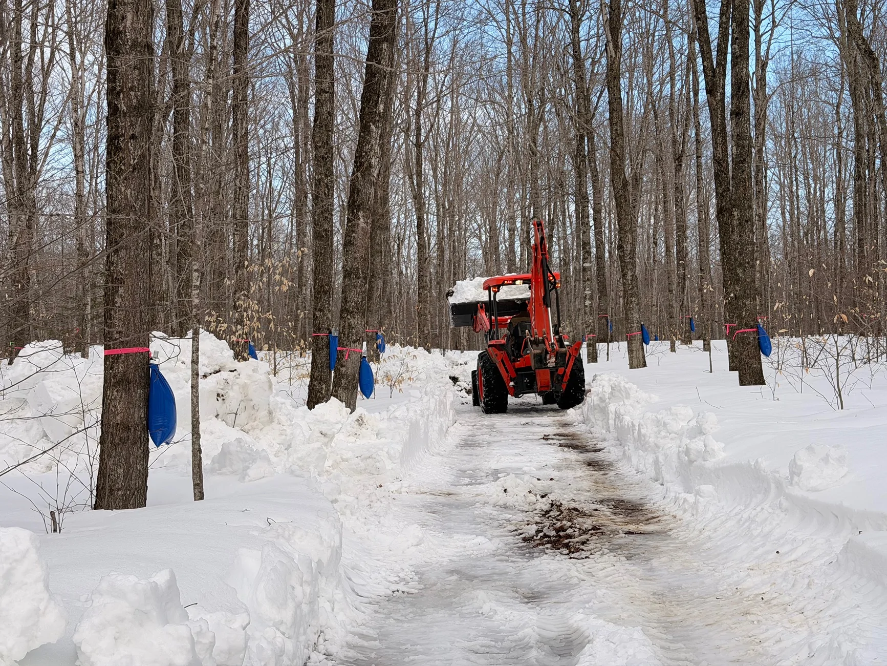 Ford Bronco Sport Getting ready for March... Carrying 400 lbs of maple sap IMG_4486