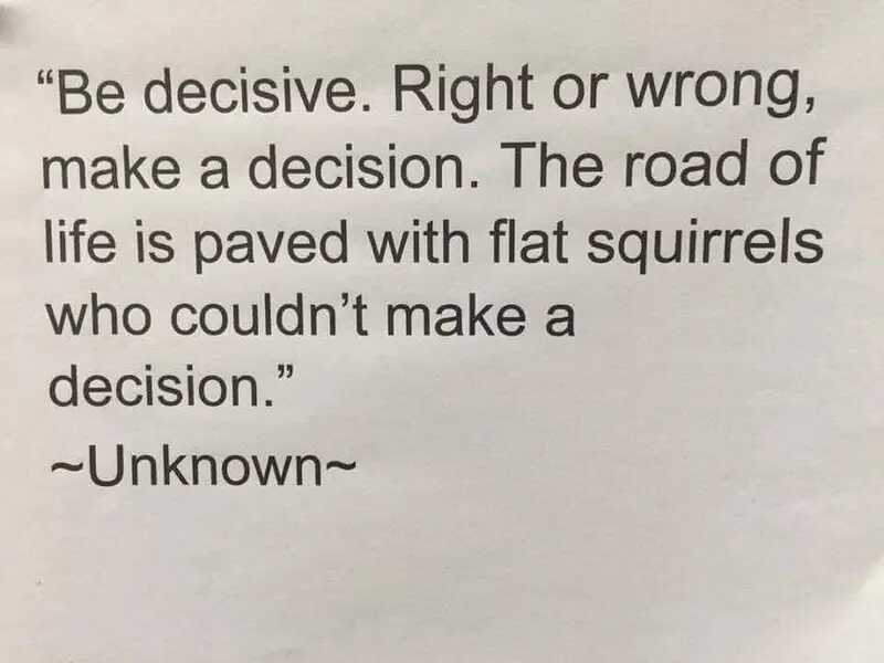 Ford Bronco Sport NEW BRONCO SPORT COMING! THE ROAD OF FLAT SQUIRRELS