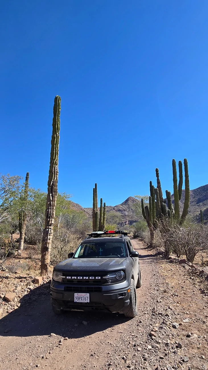 Ford Bronco Sport Alternator OAD Pulley Replacement Part # 20260326_093654