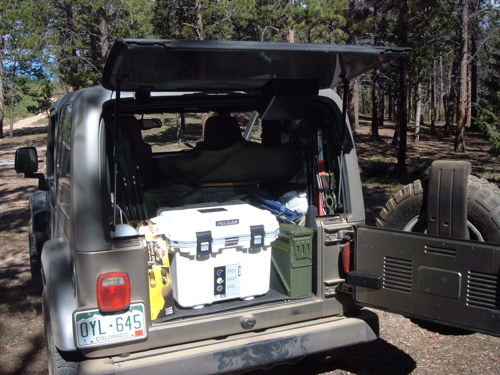 Ford Bronco Sport If I had kids... DSCF0304