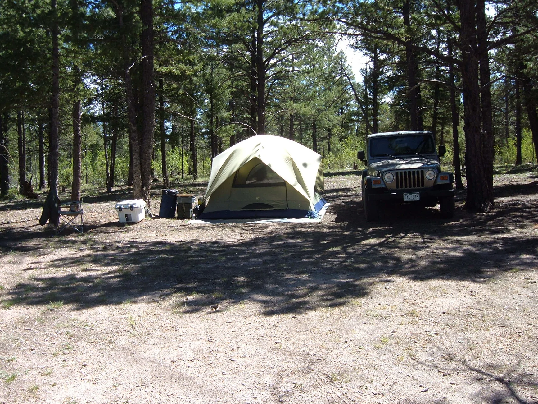 Ford Bronco Sport If I had kids... DSCF0313