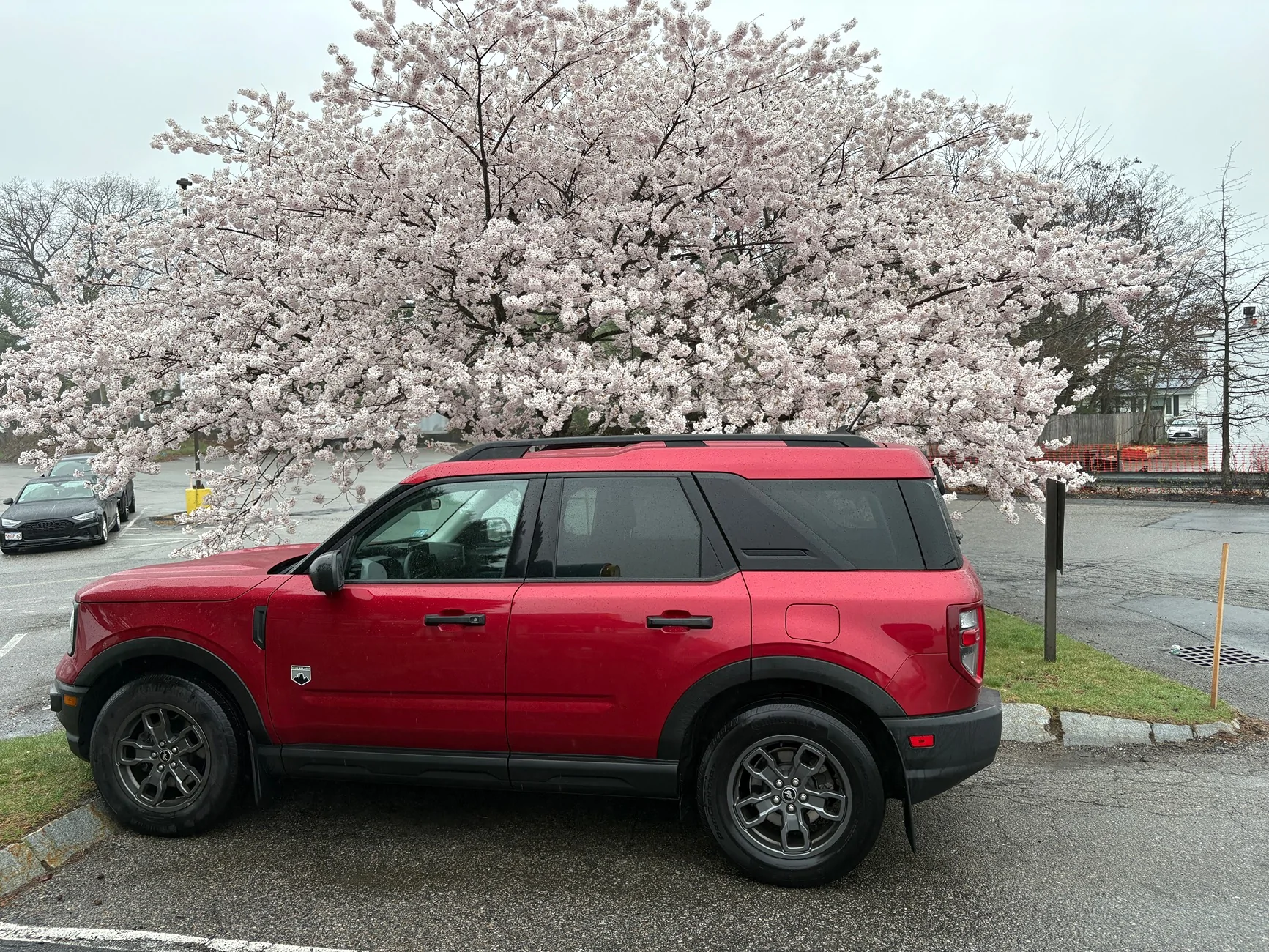Ford Bronco Sport Springtime in New England IMG_2622