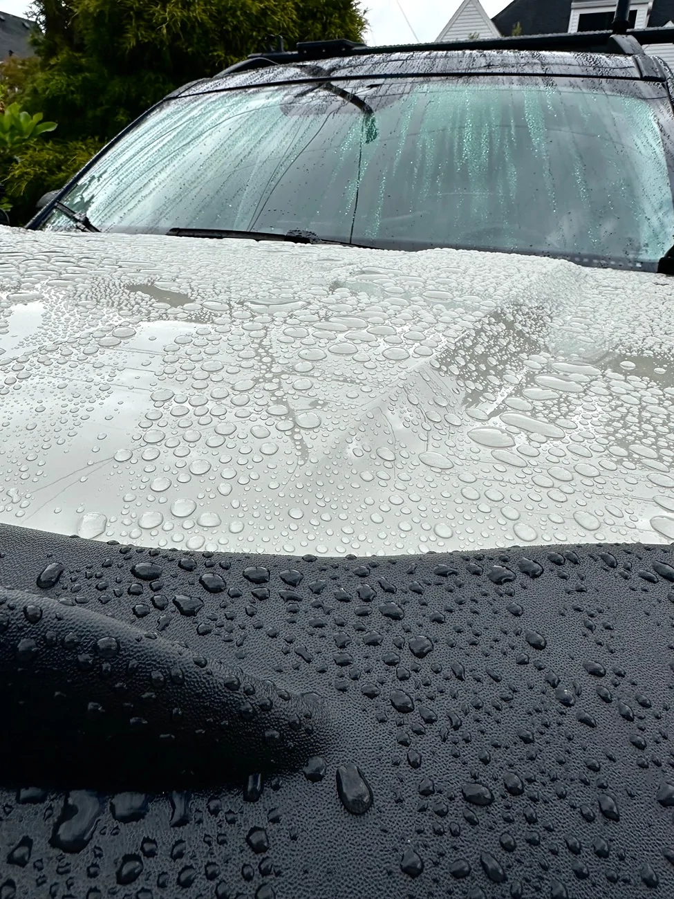Ford Bronco Sport SiO2 ceramic coat + rain = water beading extraordinaire! IMG_3758