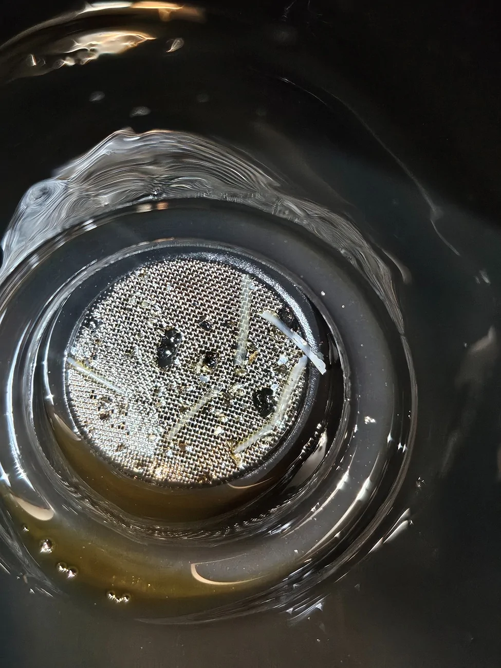 Ford Bronco Sport What's in my RDU fluid? 20260730_145106