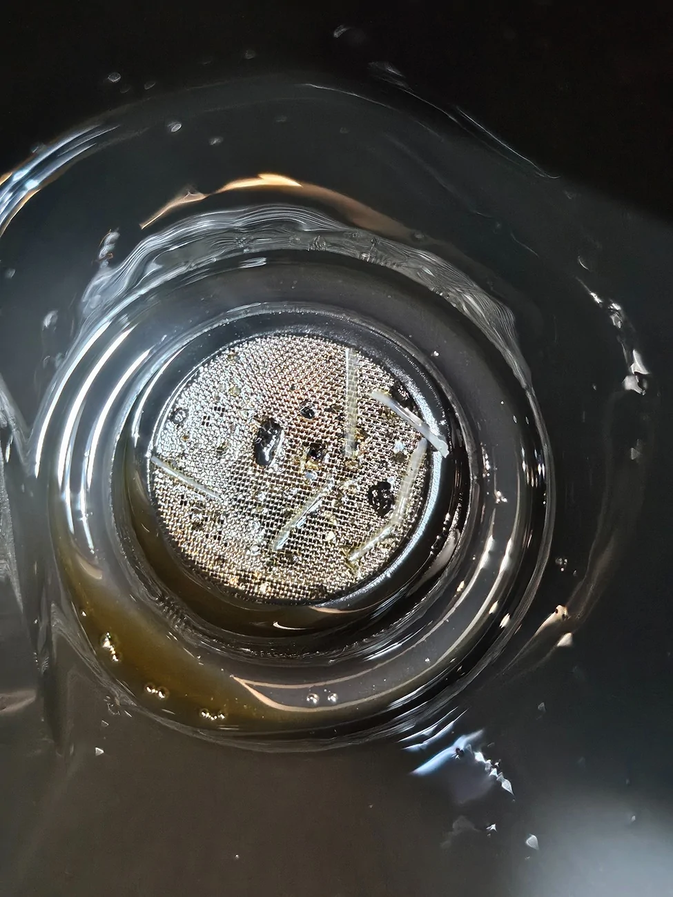 Ford Bronco Sport What's in my RDU fluid? 20260730_145052