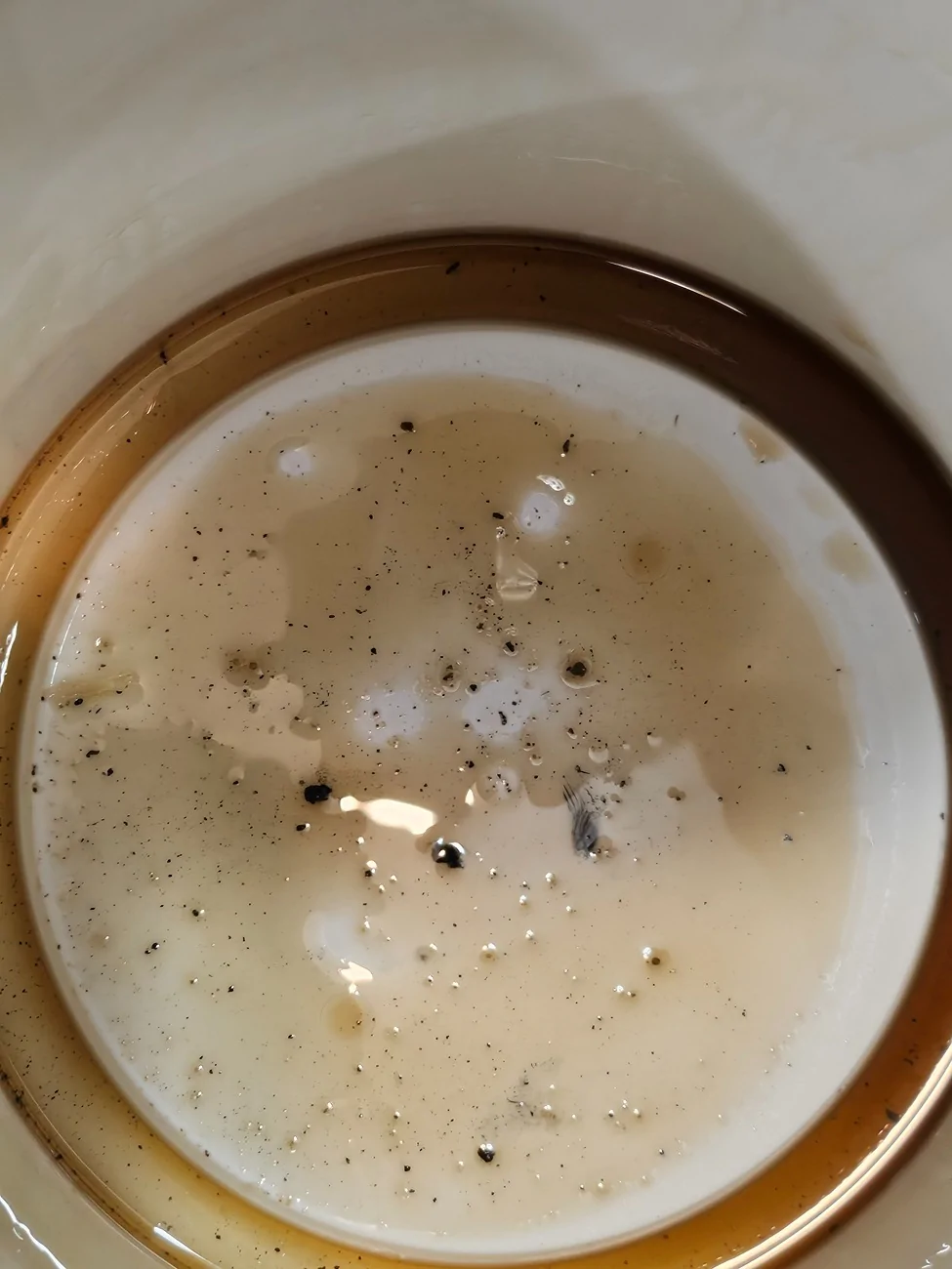 Ford Bronco Sport What's in my RDU fluid? 20260730_145119