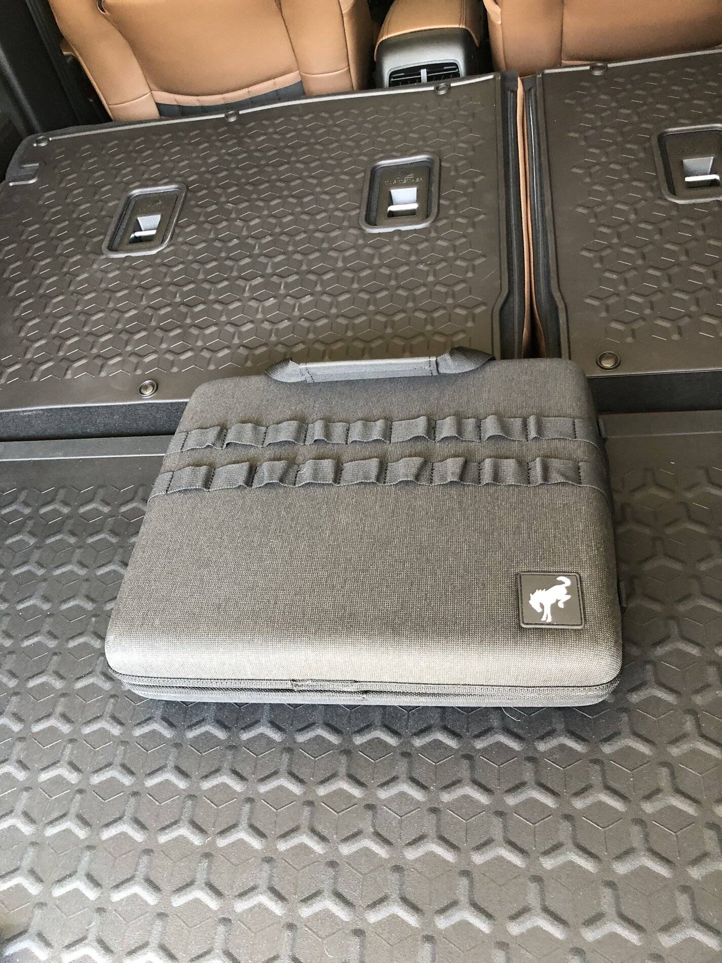 Ford Bronco Sport Closer Look At The Accessories Rear Cargo Organizer, Sunvisor Organizer, Owners Manual, Key Fob Cover, Key Cover IMG_2833.JPG