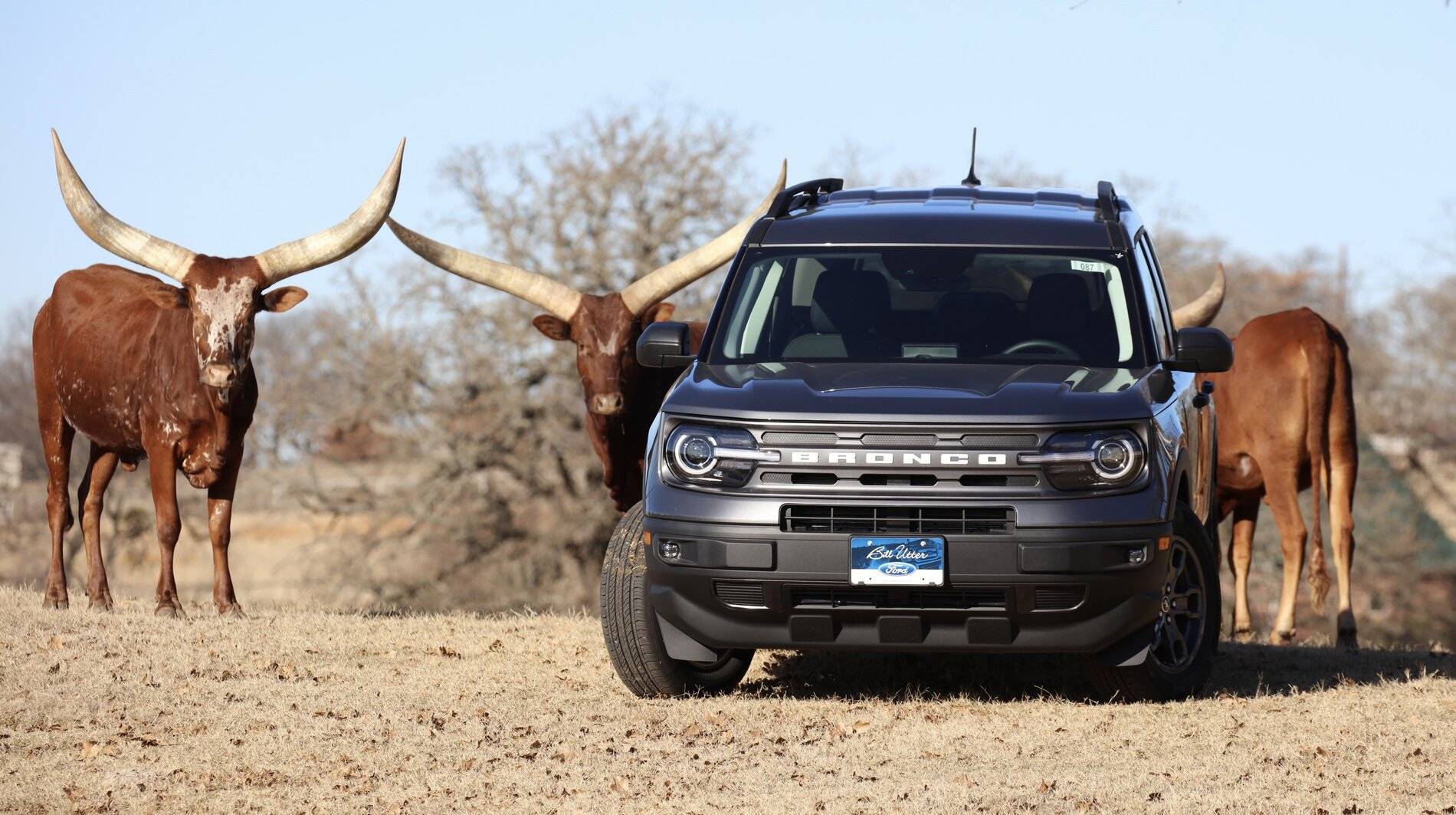 Ford Bronco Sport Post the best photos you've got of your Bronco Sport A7BA6AB1-8E94-4059-84A9-5F987F75D244