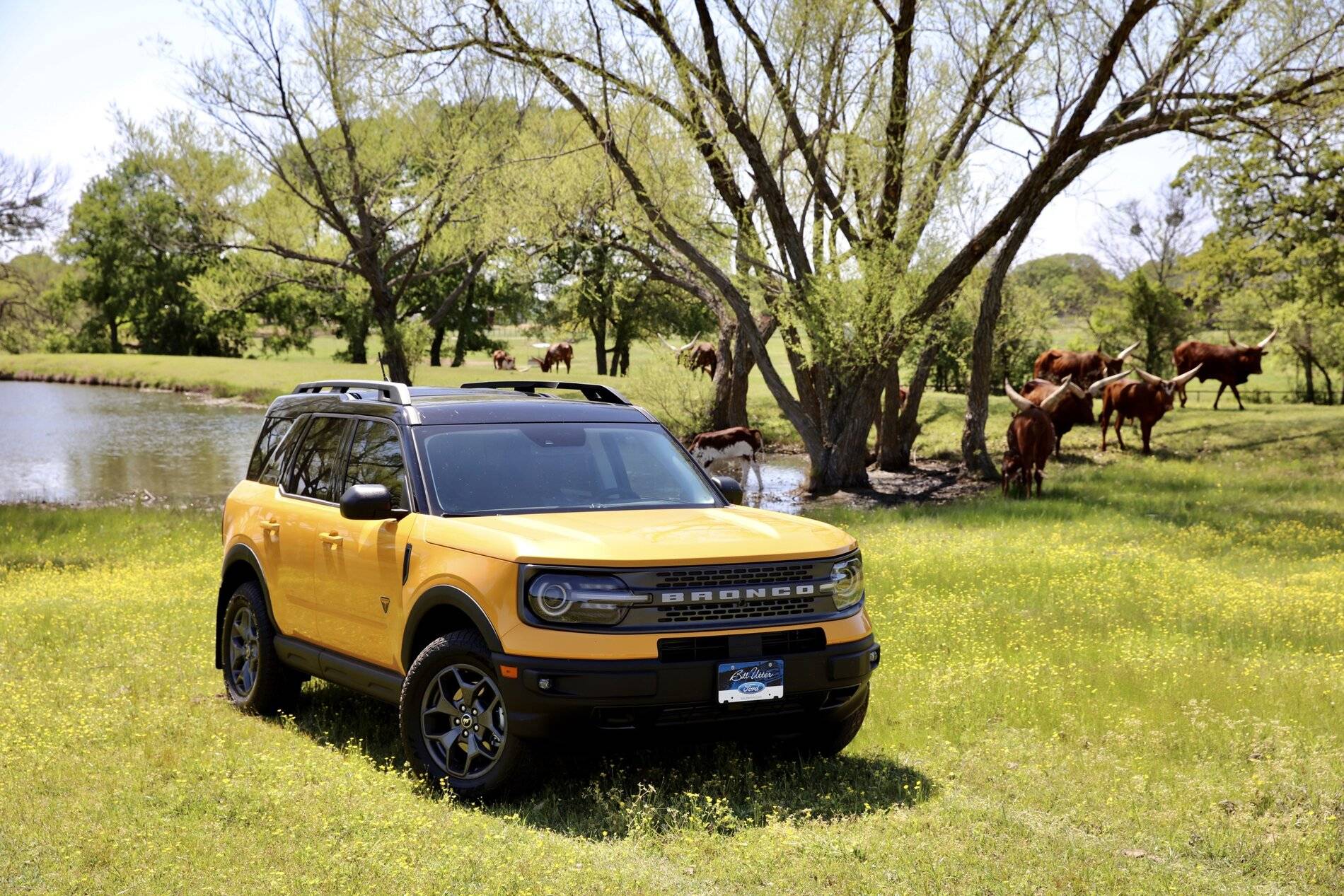 Ford Bronco Sport Post the best photos you've got of your Bronco Sport 66FF640E-90E8-4872-B326-19C8A76361F1