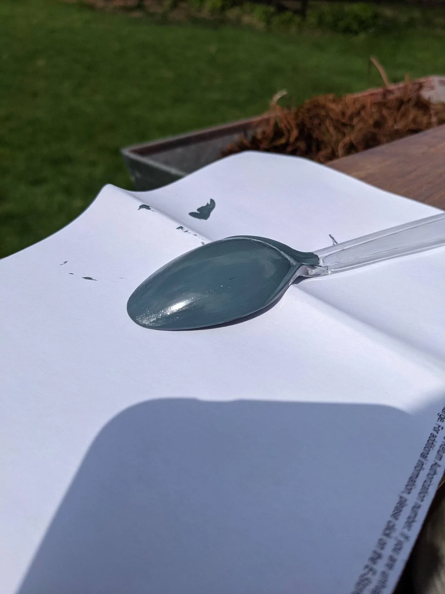 Ford Bronco Sport Dreaded touch up paint PXL_20210414_180846629