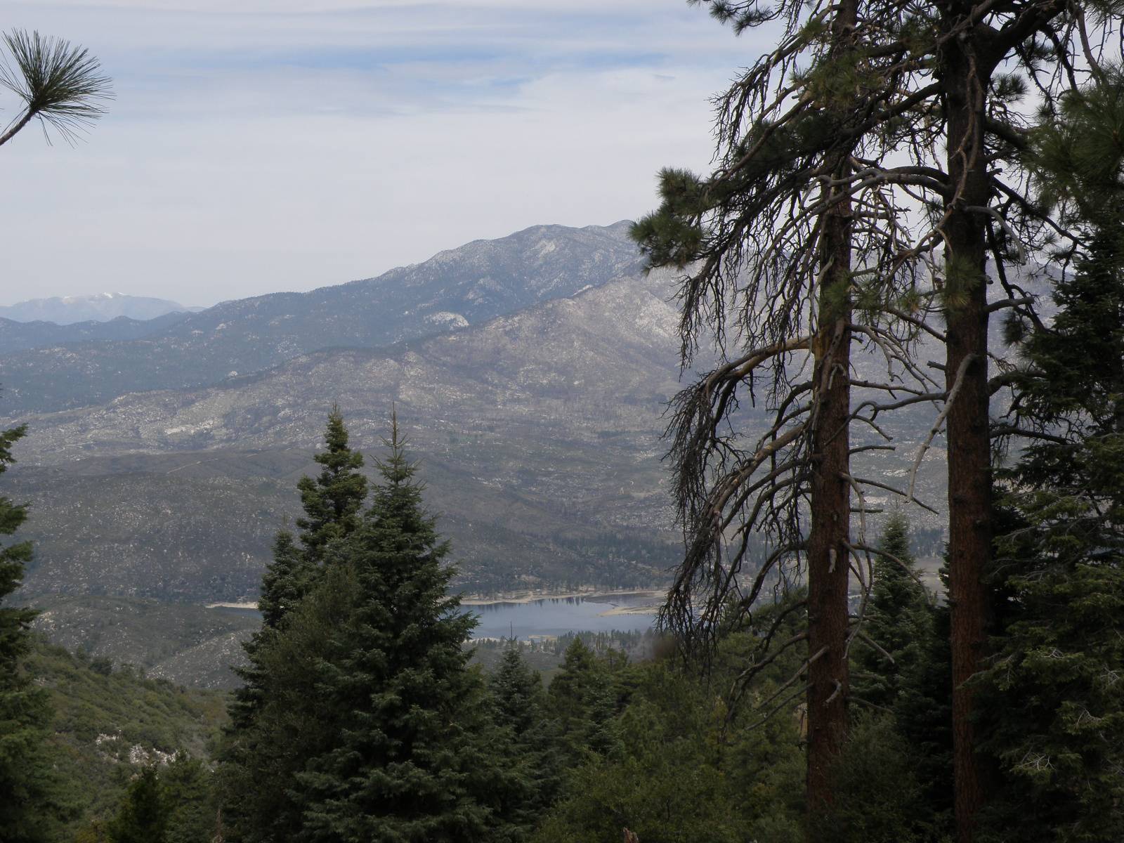 Ford Bronco Sport SoCal Thread P4110358.JPG