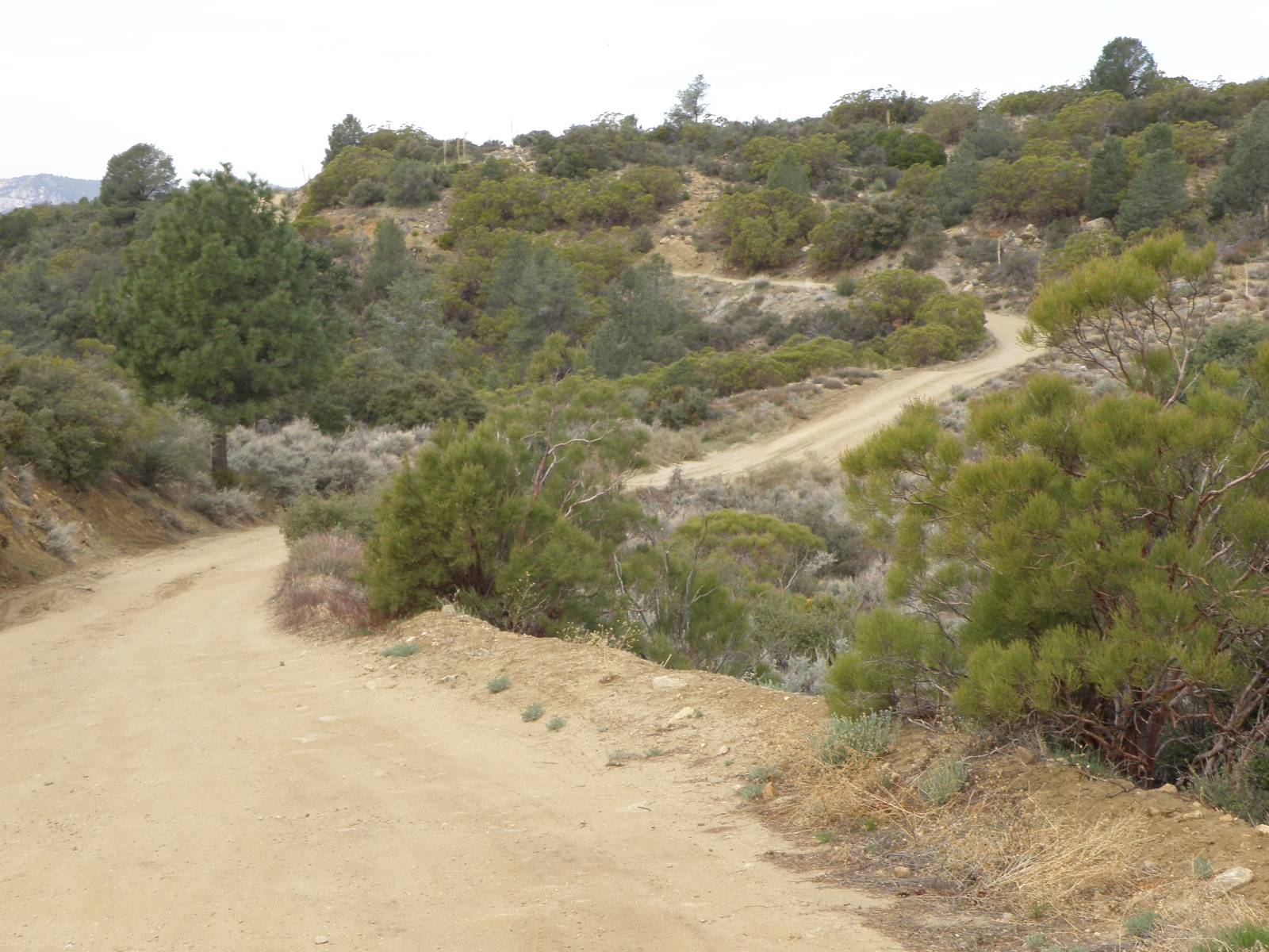 Ford Bronco Sport SoCal Thread P4110338.JPG