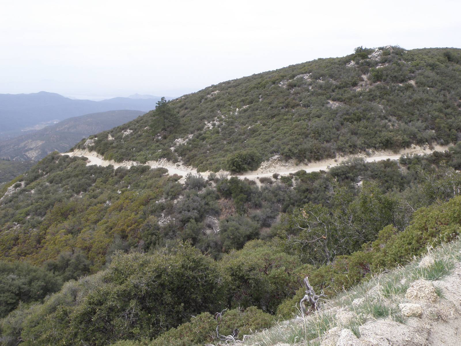 Ford Bronco Sport SoCal Thread P4110372.JPG