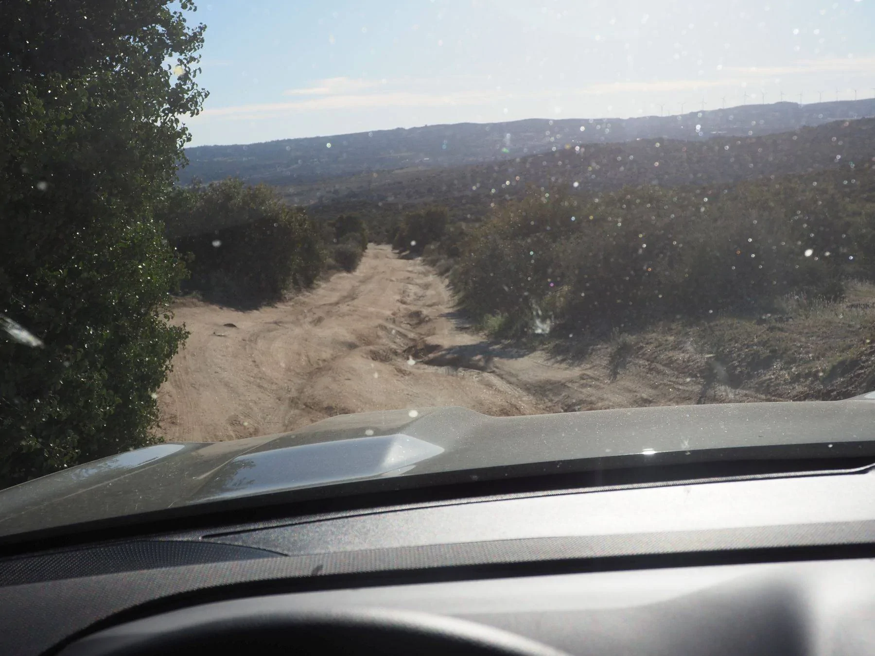 Ford Bronco Sport WHERE did you go with your Bronco Sport today? OI000018